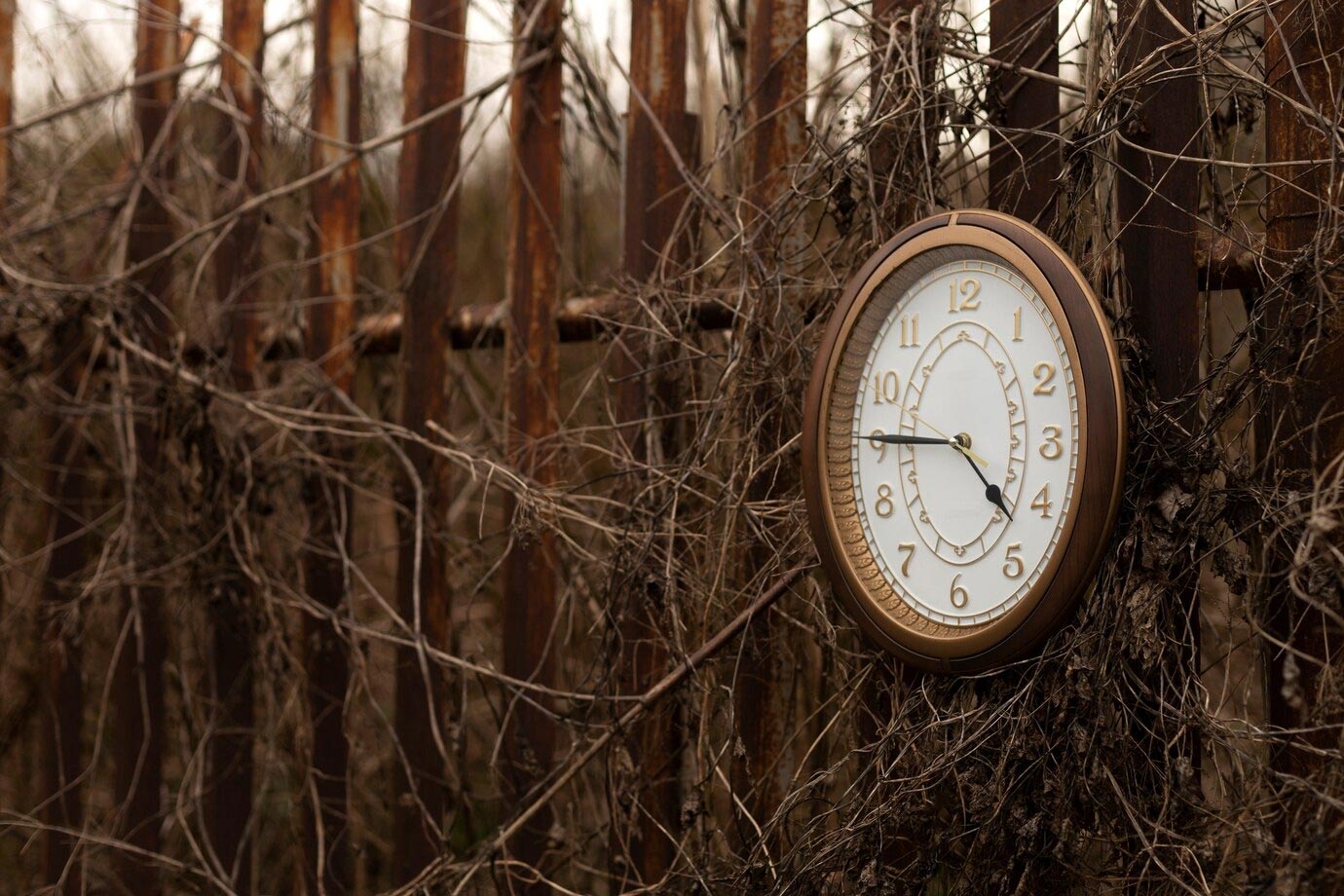 meaning-of-timeless-design-thumbnail